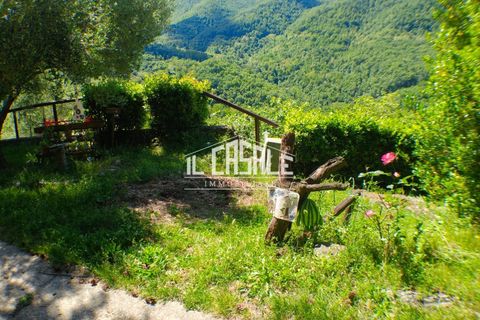 Villa a Londa, Florence, Londa - € 95.000 | Ref: 2283 - foto 35