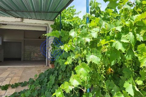 Byhus i Alandroal, Evora, Alandroal - € 165.000 | Ref: 1130891 - foto 41