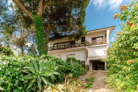 Villa i Amadora, Lisbon, Amadora - € 1.850.000 | Ref: C0500-00207 - foto 42
