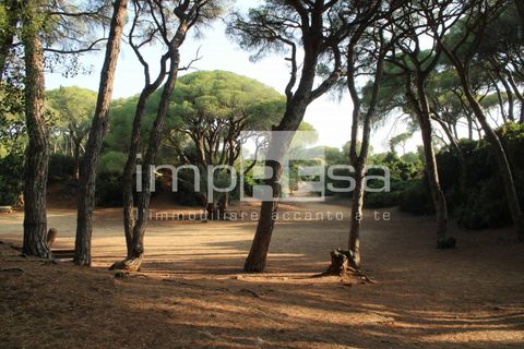 Villa i Jesolo, Venice, Jesolo - € 380.000 | Ref: I/NM006 - foto 10