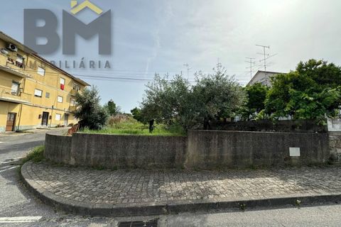 Helårsgrund i Castelo Branco, Castelo Branco, Castelo Branco - € 57.500 | Ref: 5055 - foto 3