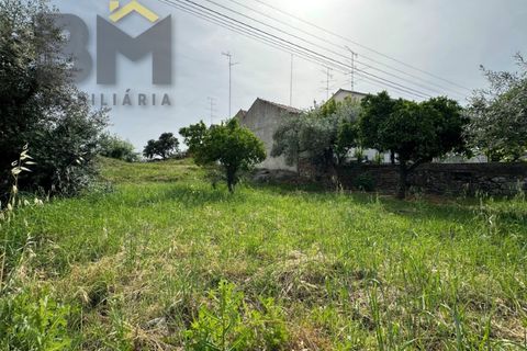Helårsgrund i Castelo Branco, Castelo Branco, Castelo Branco - € 57.500 | Ref: 5055 - foto 4