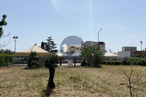Terra a Polignano a Mare, Bari, Polignano a Mare - € 39.500 | Ref: 193 - foto 3