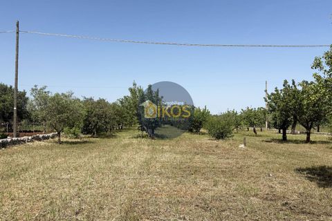Terra a Polignano a Mare, Bari, Polignano a Mare - € 39.500 | Ref: 193 - foto 4
