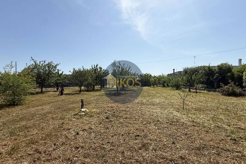 Terra a Polignano a Mare, Bari, Polignano a Mare - € 39.500 | Ref: 193 - foto 7