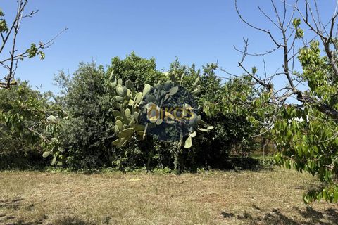Terra a Polignano a Mare, Bari, Polignano a Mare - € 39.500 | Ref: 193 - foto 12