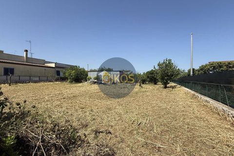 Terra a Polignano a Mare, Bari, Polignano a Mare - € 39.500 | Ref: 193 - foto 16