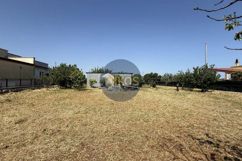 Terra a Polignano a Mare, Bari, Polignano a Mare - € 39.500 | Ref: 193 - foto 17