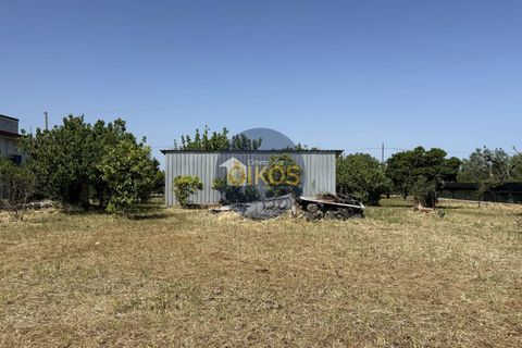 Terra a Polignano a Mare, Bari, Polignano a Mare - € 39.500 | Ref: 193 - foto 18