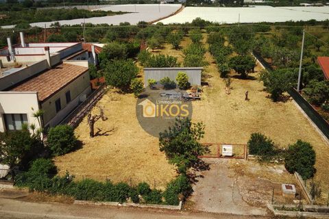 Terra a Polignano a Mare, Bari, Polignano a Mare - € 39.500 | Ref: 193 - foto 19