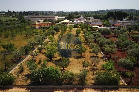 Terra a Polignano a Mare, Bari, Polignano a Mare - € 39.500 | Ref: 193 - foto 20
