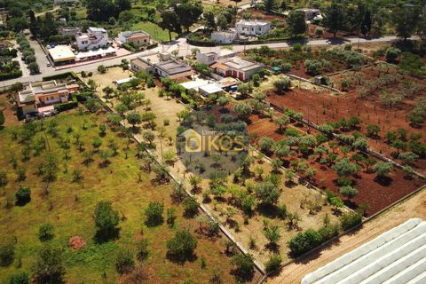 Terra a Polignano a Mare, Bari, Polignano a Mare - € 39.500 | Ref: 193 - foto 21
