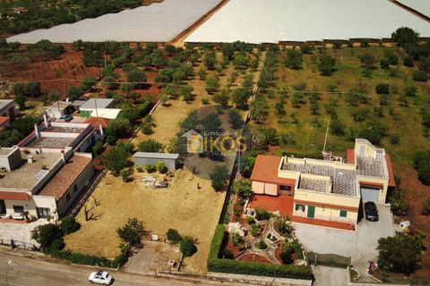 Terra a Polignano a Mare, Bari, Polignano a Mare - € 39.500 | Ref: 193 - foto 22