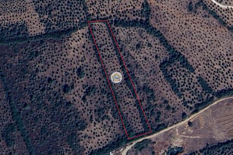Helårsgrund i Borba, Evora, Borba - € 38.000 | Ref: 3TC4150 - foto 1