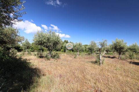 Helårsgrund i Borba, Evora, Borba - € 38.000 | Ref: 3TC4150 - foto 3