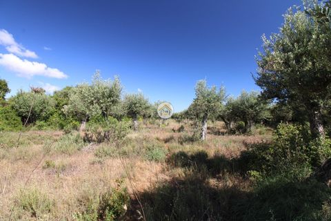 Helårsgrund i Borba, Evora, Borba - € 38.000 | Ref: 3TC4150 - foto 5