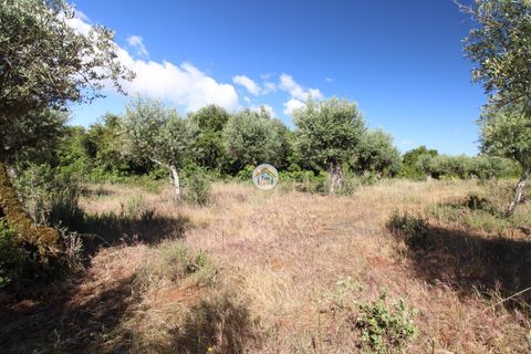 Helårsgrund i Borba, Evora, Borba - € 38.000 | Ref: 3TC4150 - foto 6