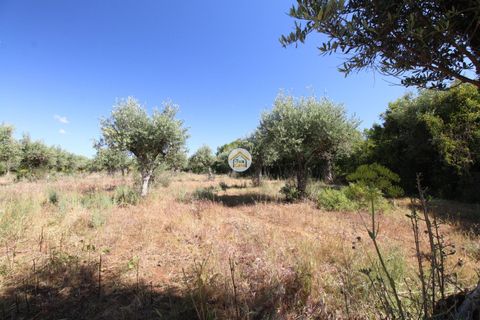 Helårsgrund i Borba, Evora, Borba - € 38.000 | Ref: 3TC4150 - foto 8