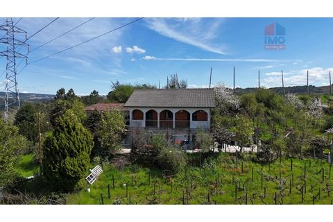 Farm i Vila Real, Vila Real, Vila Real - € 380.000 | Ref: 259200526 - foto 1