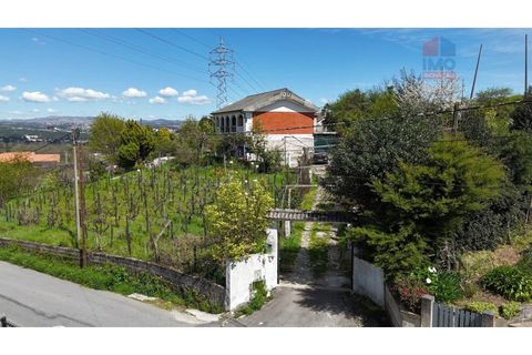 Farm i Vila Real, Vila Real, Vila Real - € 380.000 | Ref: 259200526 - foto 2