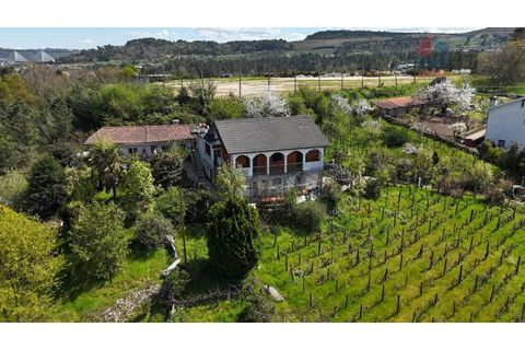 Farm i Vila Real, Vila Real, Vila Real - € 380.000 | Ref: 259200526 - foto 4