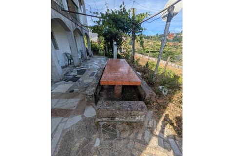 Farm i Vila Real, Vila Real, Vila Real - € 380.000 | Ref: 259200526 - foto 11