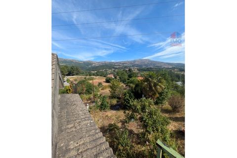 Farm i Vila Real, Vila Real, Vila Real - € 380.000 | Ref: 259200526 - foto 37