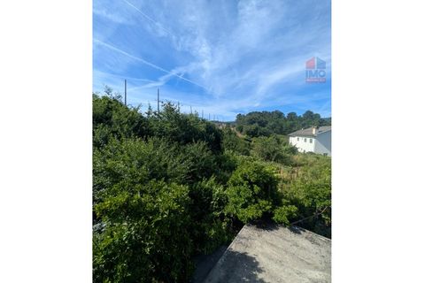 Farm i Vila Real, Vila Real, Vila Real - € 380.000 | Ref: 259200526 - foto 39