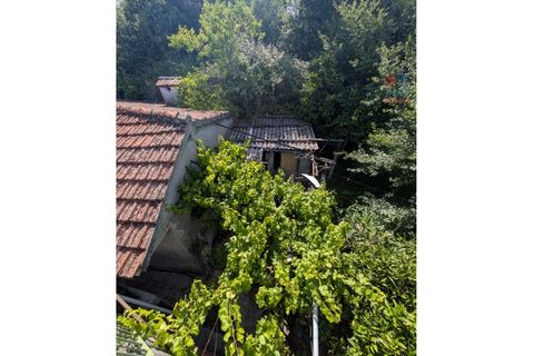 Farm i Vila Real, Vila Real, Vila Real - € 380.000 | Ref: 259200526 - foto 40
