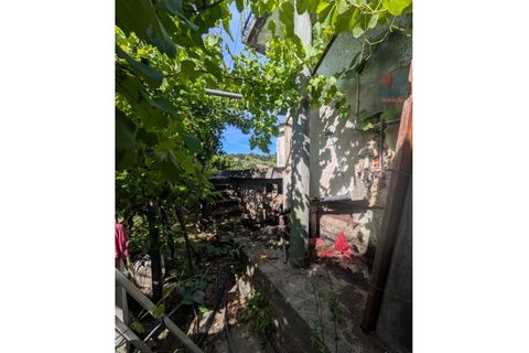 Farm i Vila Real, Vila Real, Vila Real - € 380.000 | Ref: 259200526 - foto 46