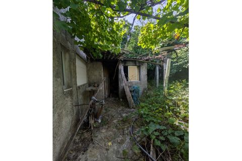 Farm i Vila Real, Vila Real, Vila Real - € 380.000 | Ref: 259200526 - foto 47