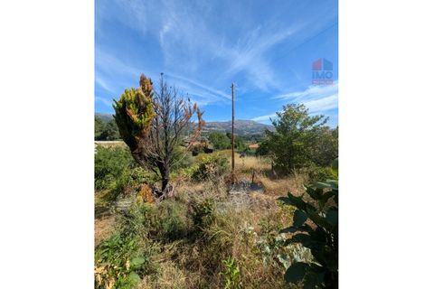 Farm i Vila Real, Vila Real, Vila Real - € 380.000 | Ref: 259200526 - foto 50