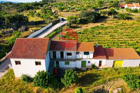 Villa a Longroiva, Guarda, Longroiva - € 60.000 | Ref: 537/MDA - foto 16