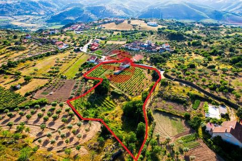 Villa a Longroiva, Guarda, Longroiva - € 60.000 | Ref: 537/MDA - foto 18