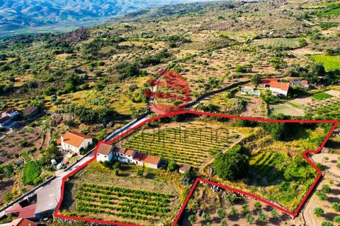 Villa a Longroiva, Guarda, Longroiva - € 60.000 | Ref: 537/MDA - foto 19