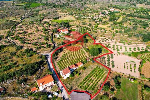 Villa a Longroiva, Guarda, Longroiva - € 60.000 | Ref: 537/MDA - foto 20
