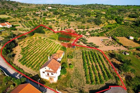 Villa a Longroiva, Guarda, Longroiva - € 60.000 | Ref: 537/MDA - foto 21