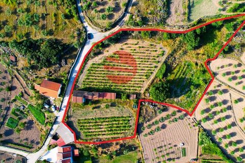 Villa a Longroiva, Guarda, Longroiva - € 60.000 | Ref: 537/MDA - foto 22