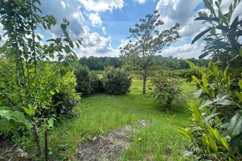 Villa a Ceaulmont, Indre, Ceaulmont - € 138.000 | Ref: 204197 - foto 11