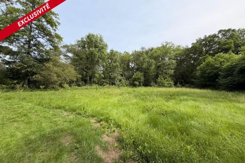 Helårsgrund i Pleucadeuc, Morbihan, Pleucadeuc - € 19.000 | Ref: 204458 - foto 4