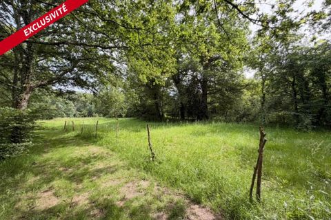 Helårsgrund i Pleucadeuc, Morbihan, Pleucadeuc - € 19.000 | Ref: 204458 - foto 5