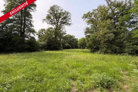 Helårsgrund i Pleucadeuc, Morbihan, Pleucadeuc - € 19.000 | Ref: 204458 - foto 6
