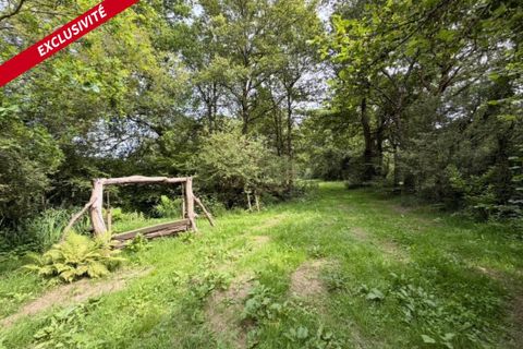 Helårsgrund i Pleucadeuc, Morbihan, Pleucadeuc - € 19.000 | Ref: 204458 - foto 7