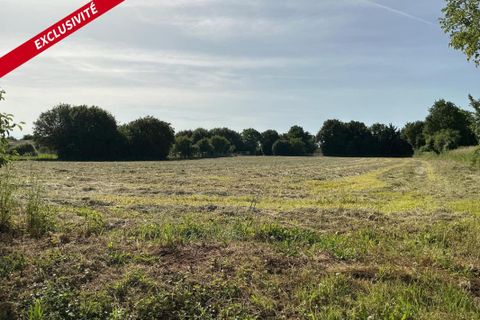 Helårsgrund i Chail, Deux-Sevres, Chail - € 103.000 | Ref: 204465 - foto 2