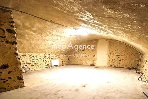 Erhvervsejendom i Laval, Mayenne, Laval - € 126.000 | Ref: 193065 - foto 4