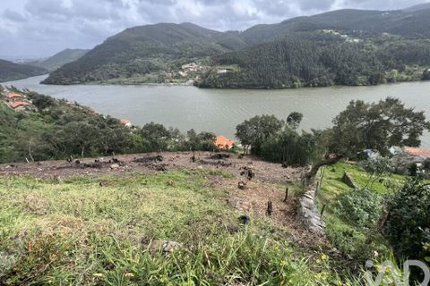 Terra a Penafiel, Porto, Penafiel - € 435.000 | Ref: 934231 - foto 2