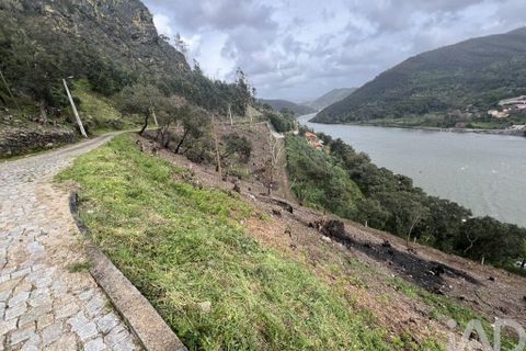 Terra a Penafiel, Porto, Penafiel - € 435.000 | Ref: 934231 - foto 3