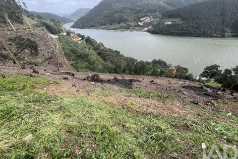 Terra a Penafiel, Porto, Penafiel - € 435.000 | Ref: 934231 - foto 4