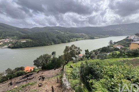 Terra a Penafiel, Porto, Penafiel - € 435.000 | Ref: 934231 - foto 6