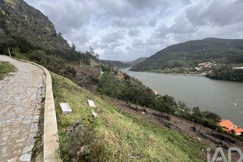 Terra a Penafiel, Porto, Penafiel - € 435.000 | Ref: 934231 - foto 9